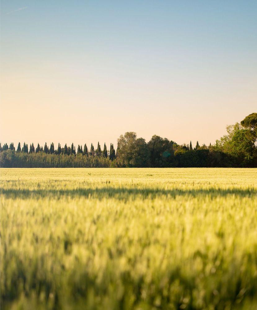 Preservare la natura per conservare e valorizzare il territorio