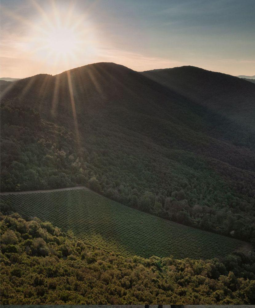 A Unique Stage for Great Wines Amidst Hills and Sea